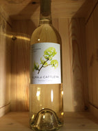 Alma de Cattleya Sauvignon Blanc