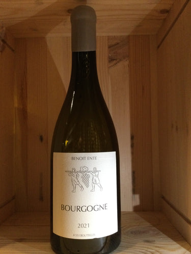 Benoit Ente Bourgogne Blanc