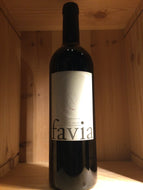 Favia Coombsville