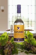 CAPURRO QUEBRANTA PISCO