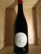 Lucy Santa Lucia Highlands