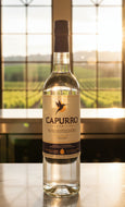 CAPURRO ACHOLATO PISCO