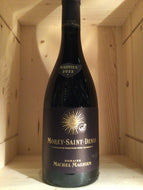 Michel Magnien Morey-Saint-Denis